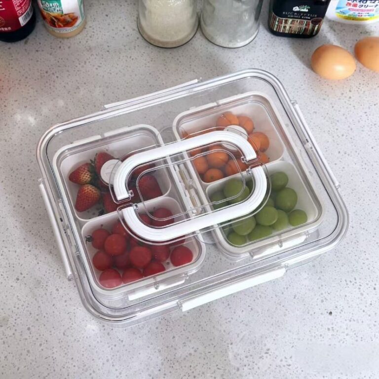 Refrigerator Organization Divided Snack Box with Handle, 4-Compartment Fruit & Nut Container for Travel