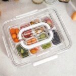 Refrigerator Organization Divided Snack Box with Handle, 4-Compartment Fruit & Nut Container for Travel